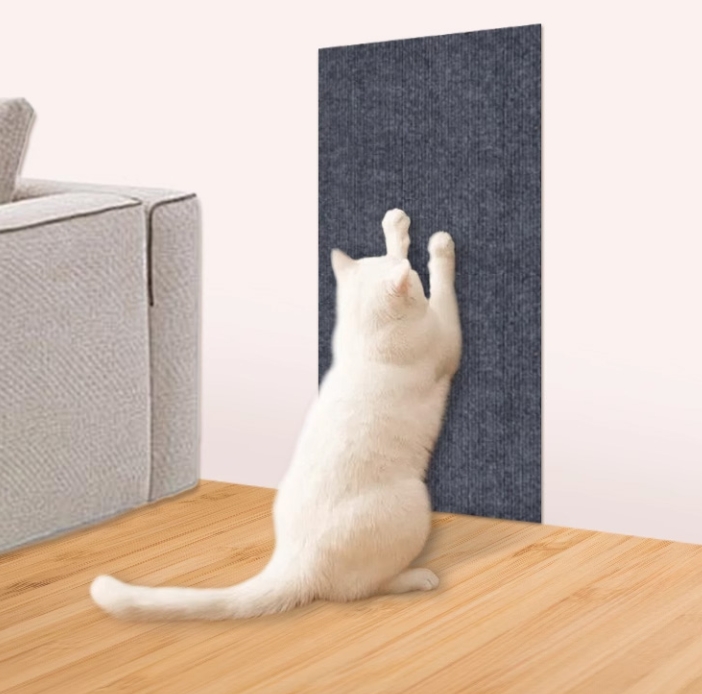 猫いじり
