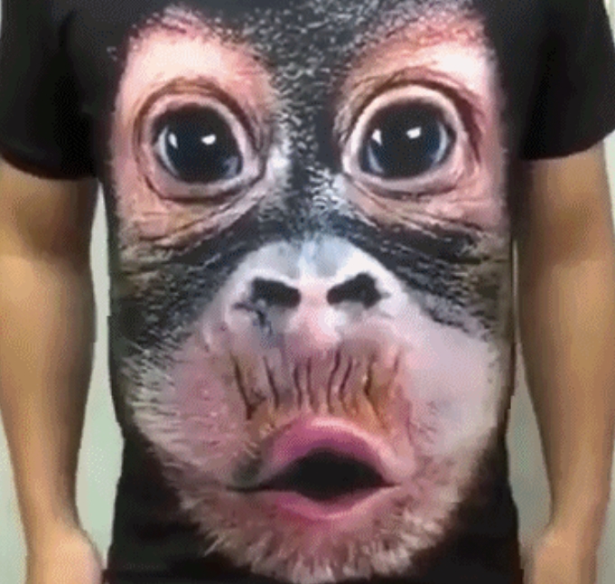 Tシャツ