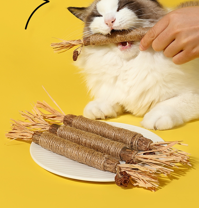 歯固めスティック
