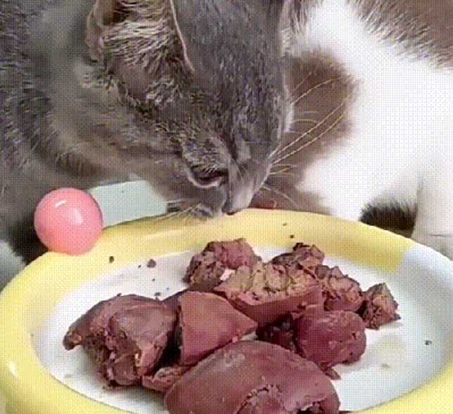 レバーリブ