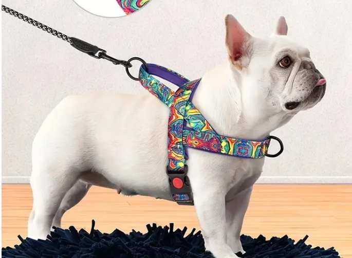 犬用キャリア