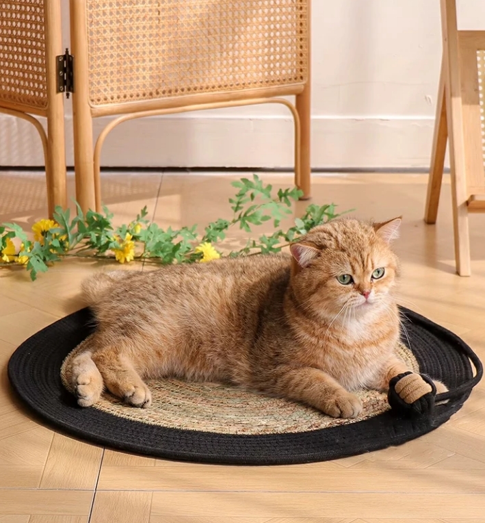 猫用スクラッチパッド