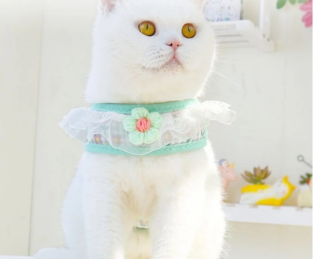 ドローストリング
