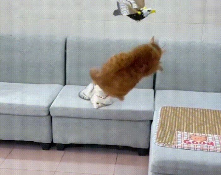 鳥のオーナメント