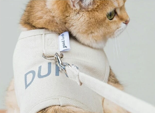 猫の散歩ロープ
