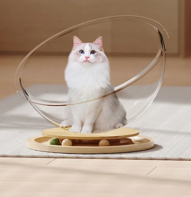 猫の巣
