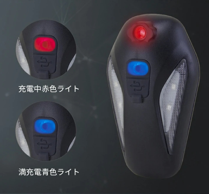 ウィッグ
