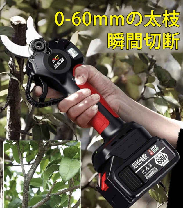 剪定剪定