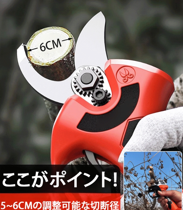 剪定剪定