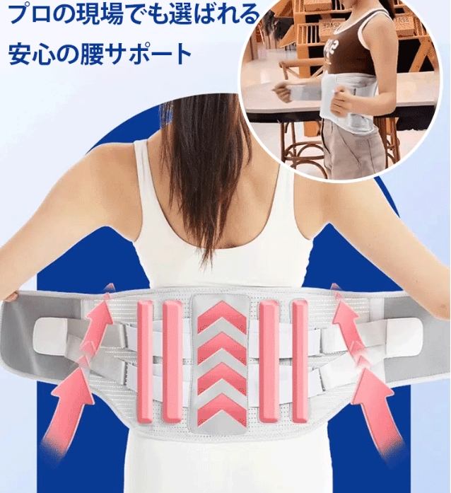 ベルト本