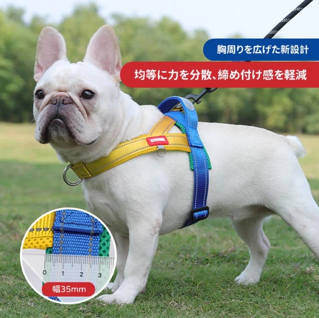胸ストラップ