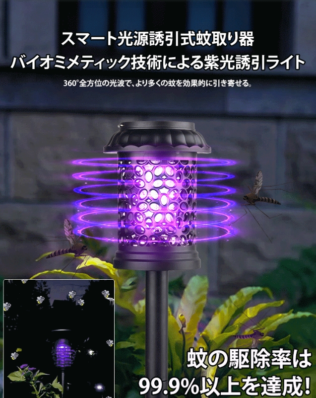 芝生ランプ