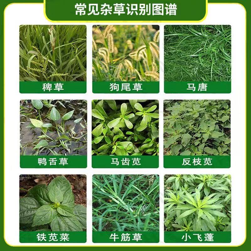 除草剤