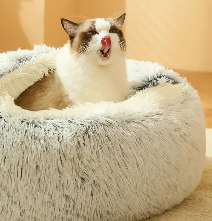 猫砂