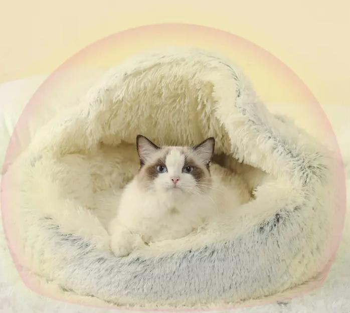 猫砂