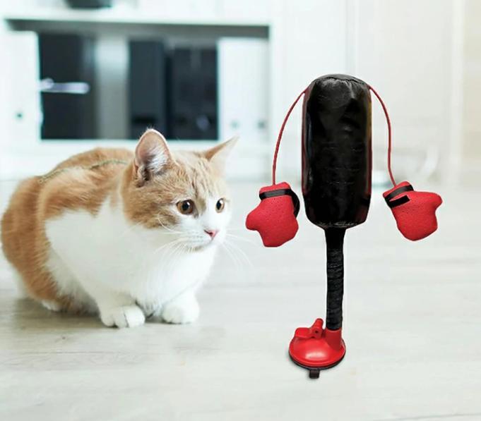 猫のおもちゃ