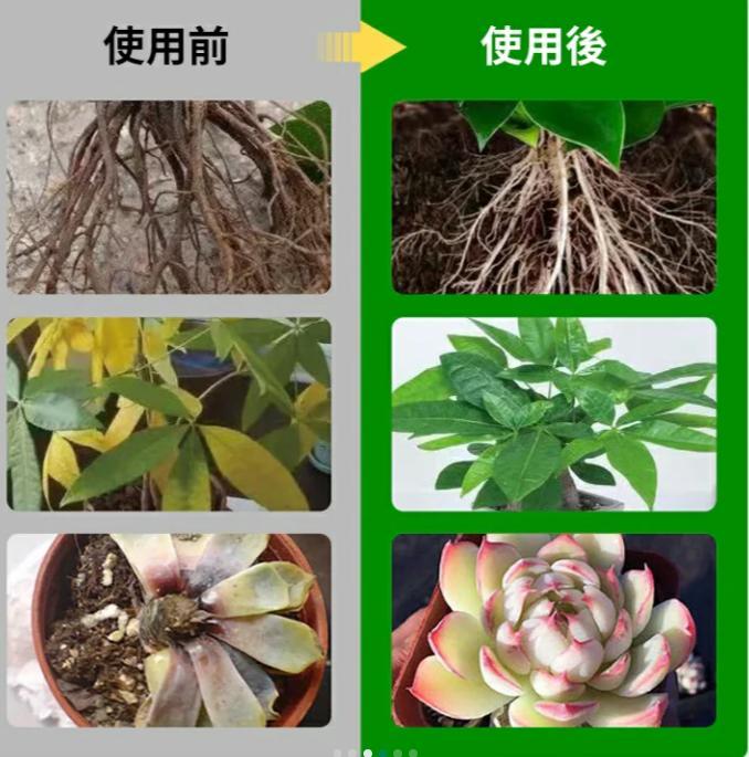 花卉栄養液