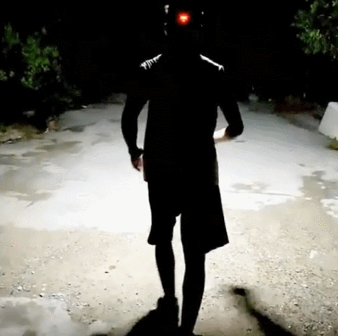 GIF5.gif