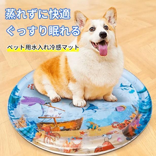 マット