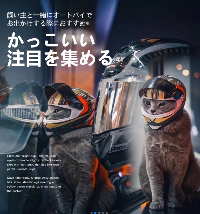 ヘルメット