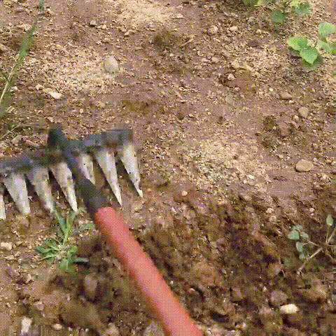 雑草すくい