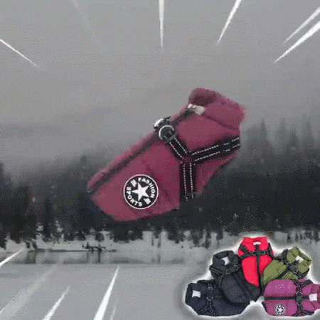 ペットベスト
