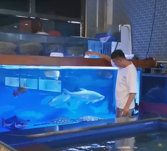 カプセル
