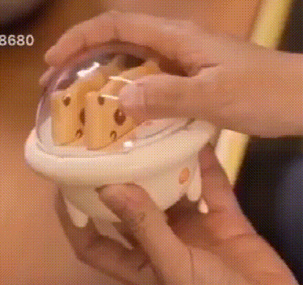 充電式トレジャー