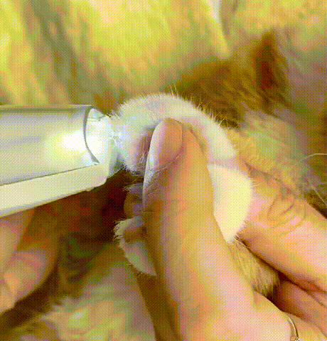 電気バリカン