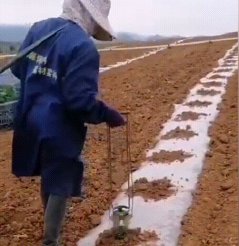 苗木プランター