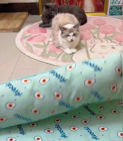 ペットマット