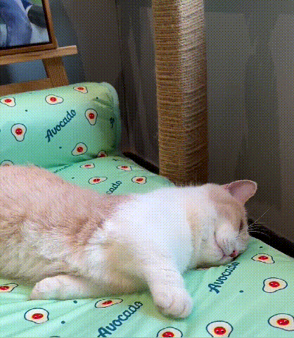 ペットマット