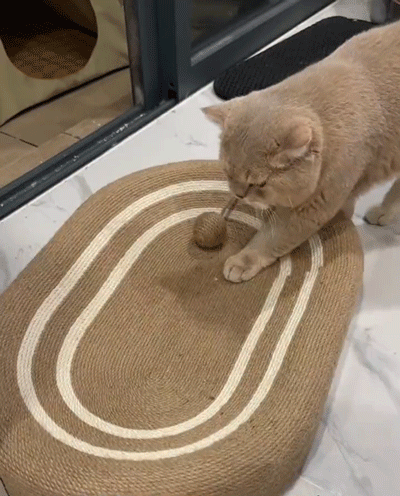 サイザル麻の猫用スクラッチボード