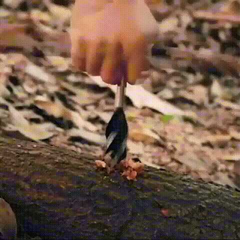 多機能アウトドアビレット