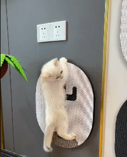 キャッツクローボード