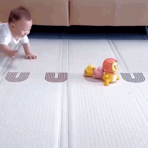 アヒルのハイハイおもちゃ