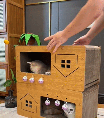 猫用スクラッチボード