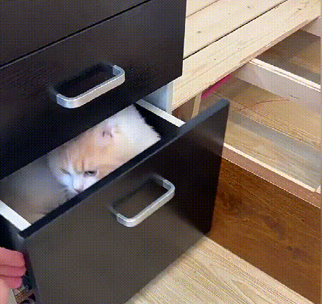 スナックボックス