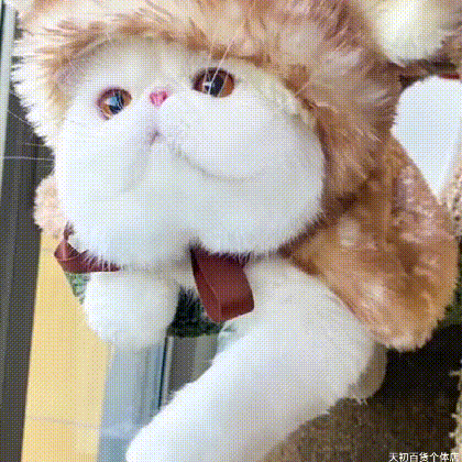 ポンチョ