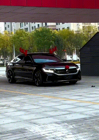 車のクリスマス飾り
