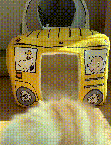 折りたたみ式バス型ペットベッド