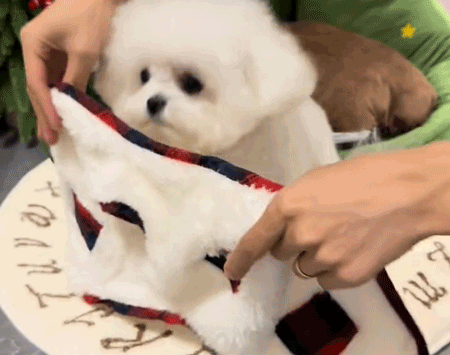 ペット用フリースベスト