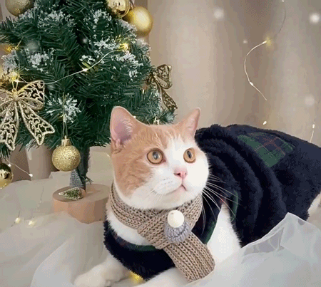ペット用フリースベスト