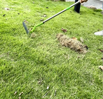 芝生枯草熊手松土器