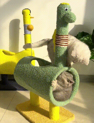 猫のよじ登り
