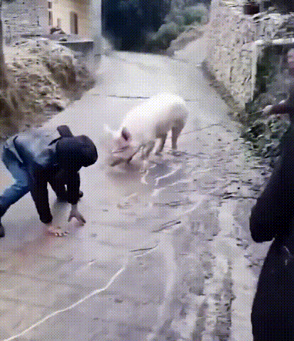 シューズカバー