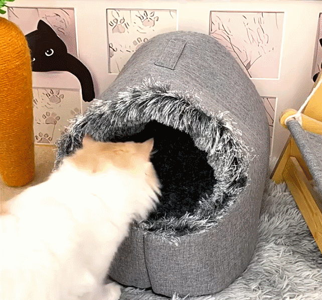 猫の巣