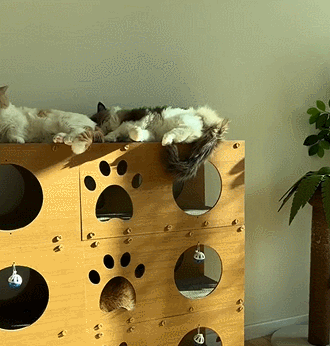 猫用スクラッチボード