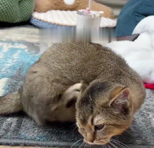 綿棒