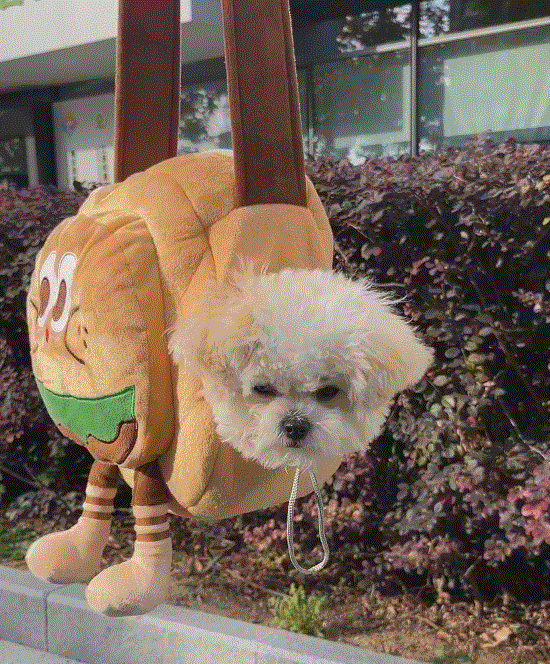 ペットバッグ